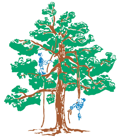 Baum-Service Ortsiefer